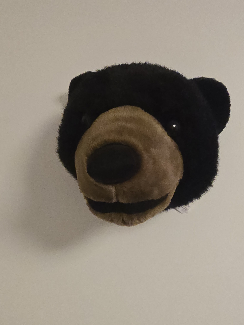 Plush Black and Brown Bear Head Wall Mount